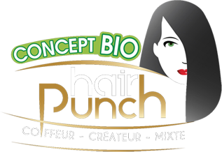Logo Hairpunch