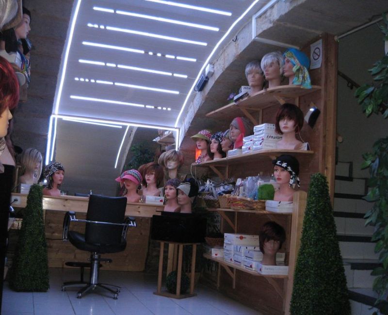 Salon Concept Bio Hair Punch