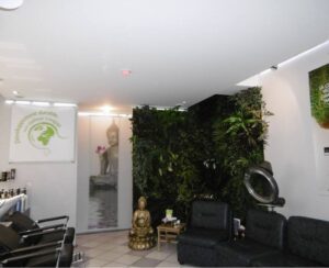 Salon Concept Bio Hair Punch