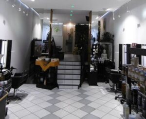 Salon Concept Bio Hair Punch