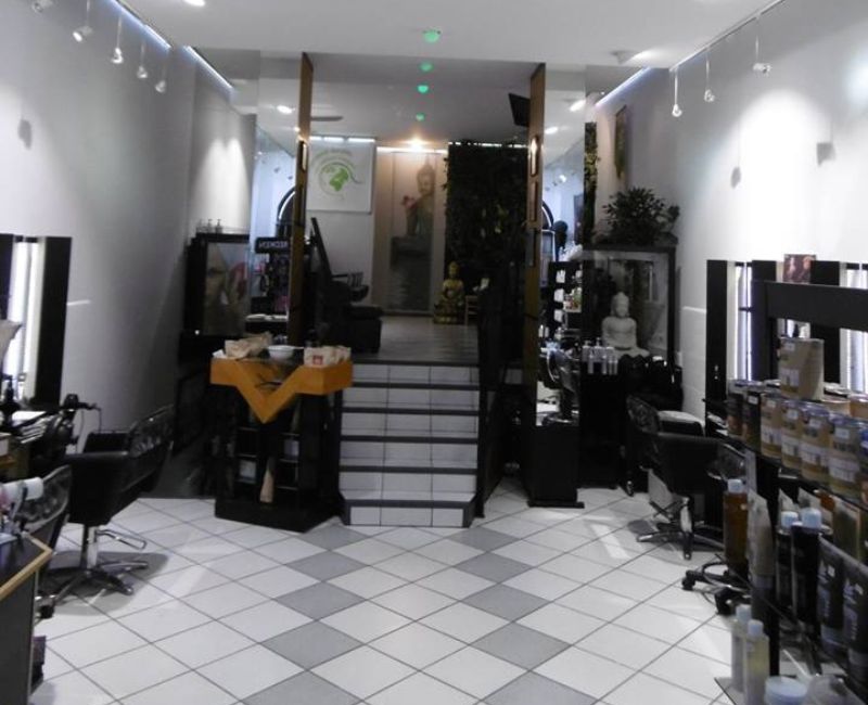 Salon Concept Bio Hair Punch