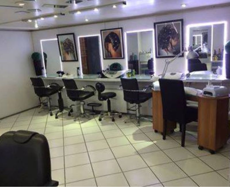 Salon Concept Bio Hair Punch