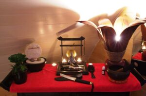 Salon Concept Bio Hair Punch